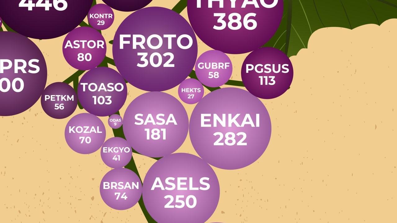 Most Valuable 20 Companies on BIST (2024)